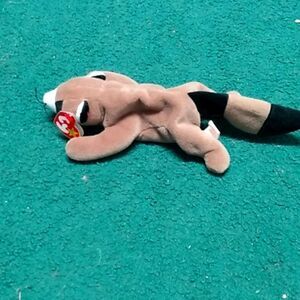 Raccoon named Rango   